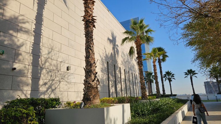 Shadow Hunters 380 - Palms!