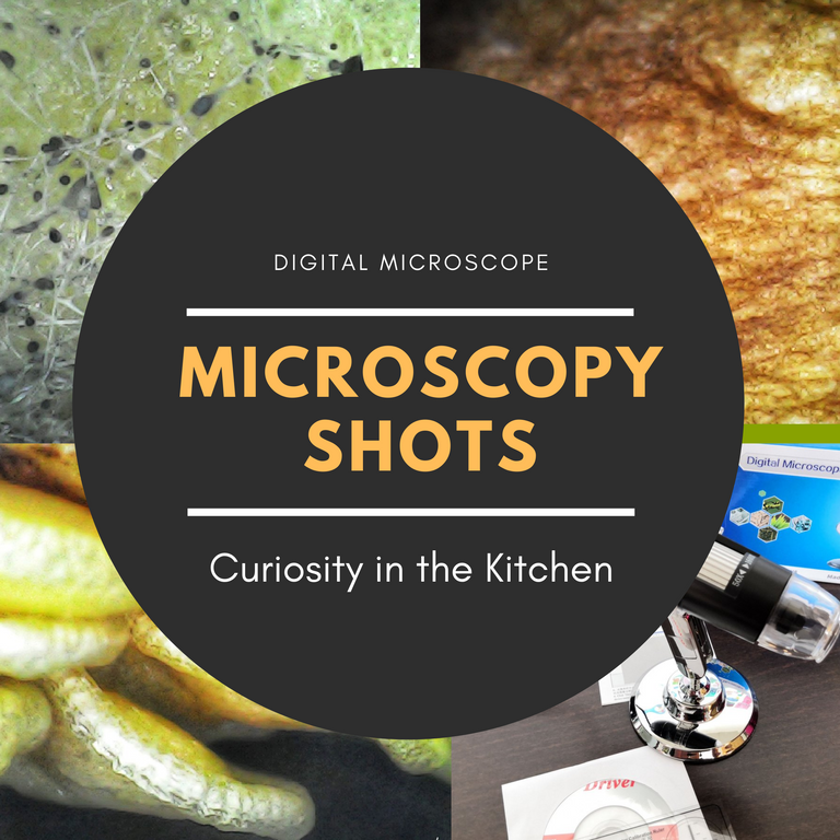 microscopy.png