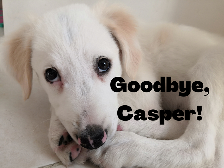 Casper.png