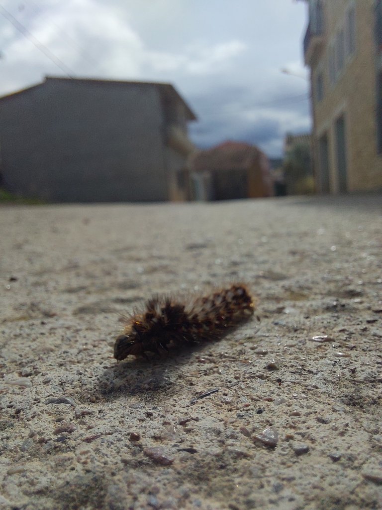 20211022_124805.jpg