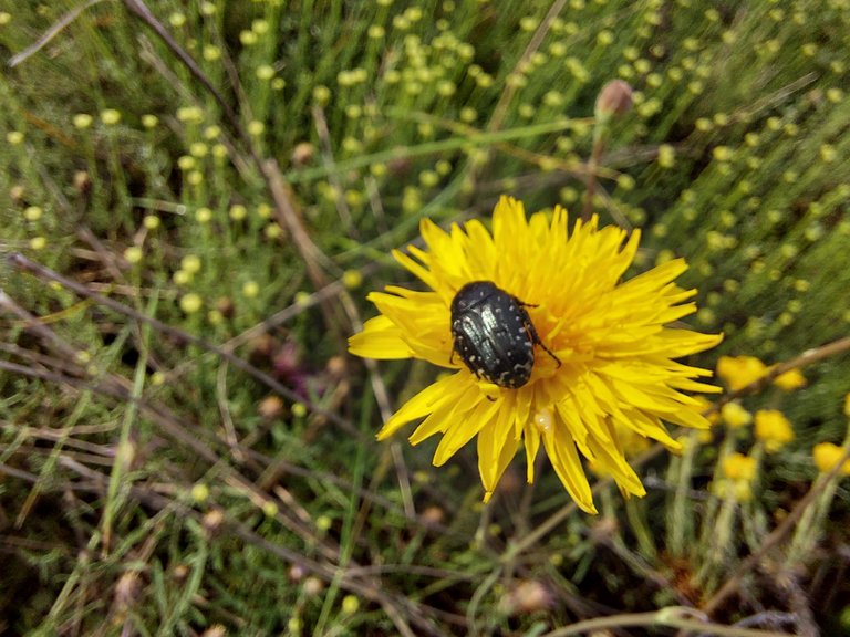 20210530_093514.jpg