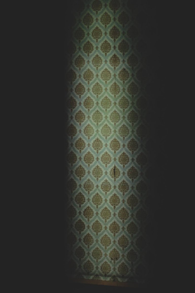 467752388_10162160213709391_9108914613896092090_n.jpg