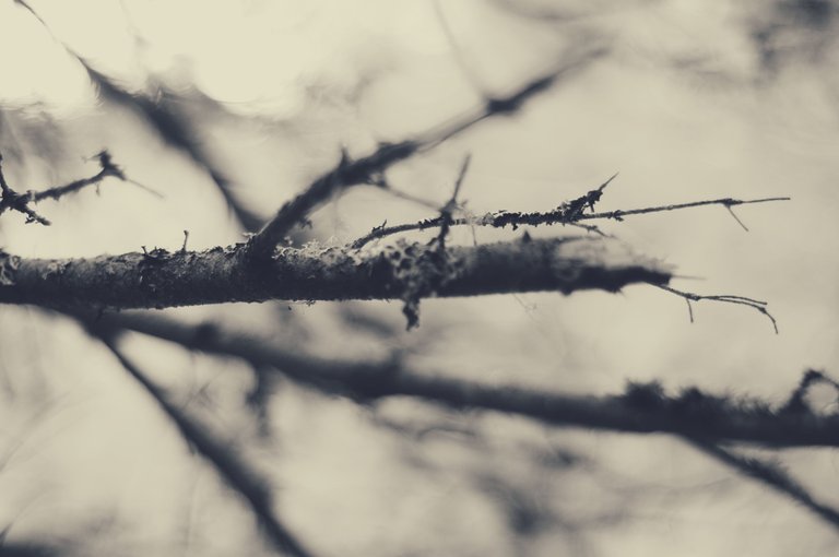 DSC_0358.png