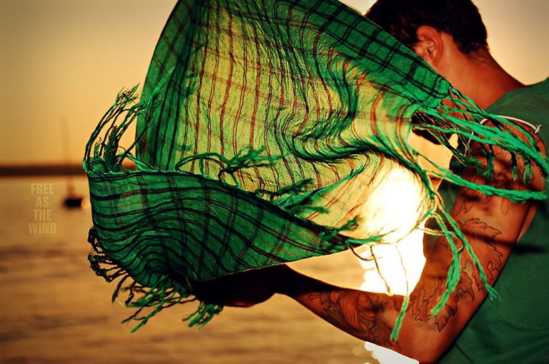 free as the wind.jpg