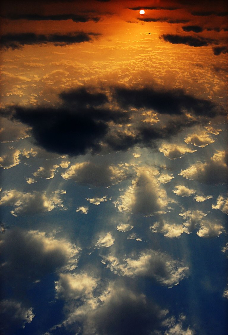 God's paintbrush1.jpg