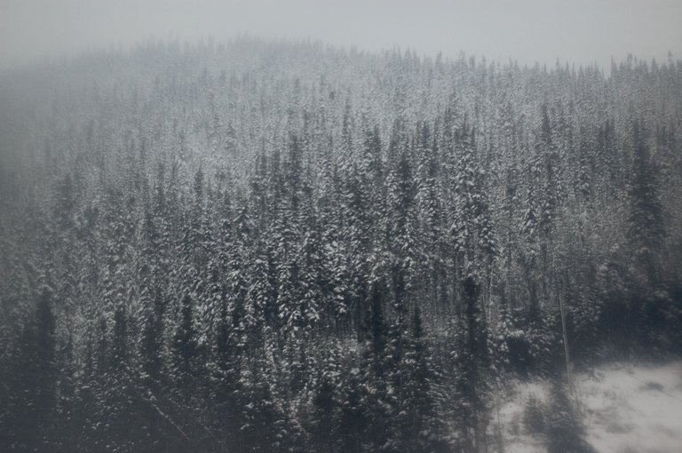 DSC_7212.png