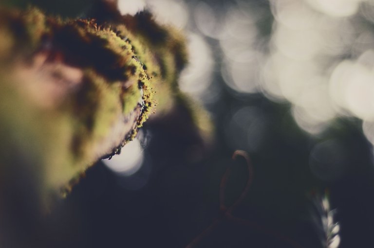 DSC_0389.png