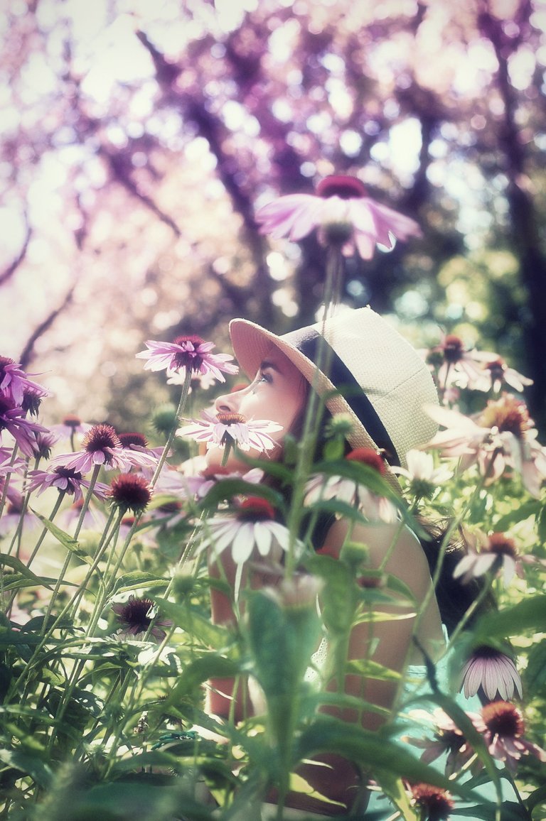 IN BLOOM.jpg