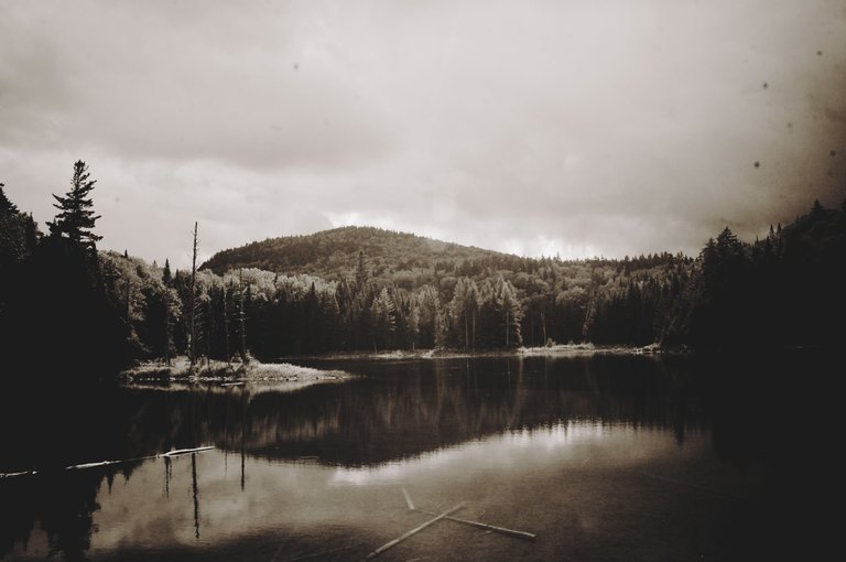 DSC_0587.png