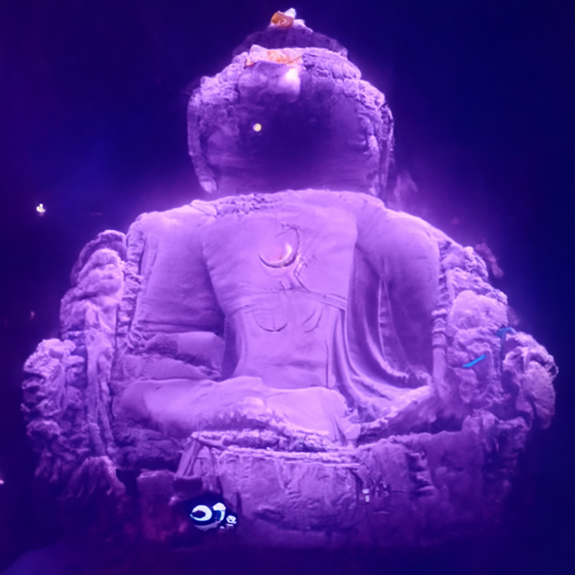 BuddhabrotDDI(11)_0000.png