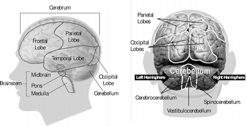 OcularMigraine1.jpg