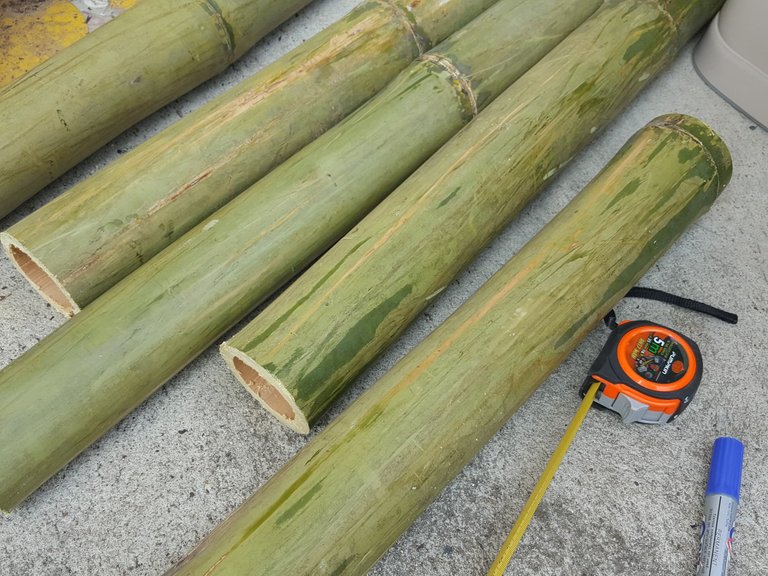 Bamboo3.jpg