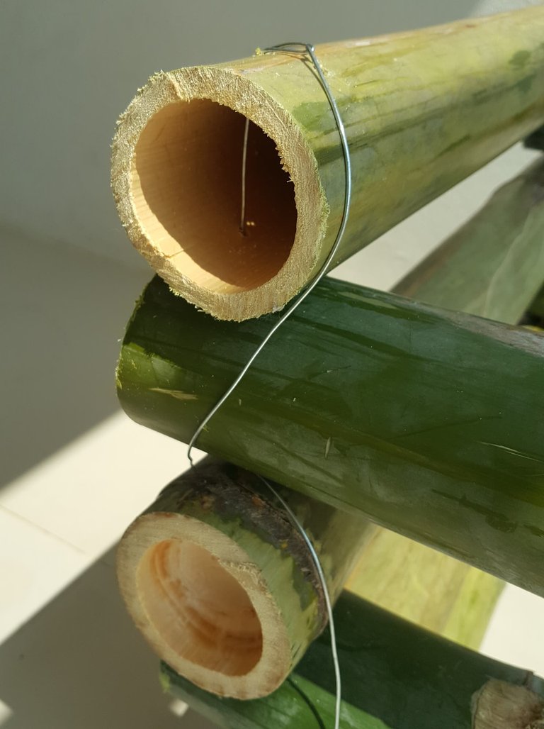 Bamboo9.jpg