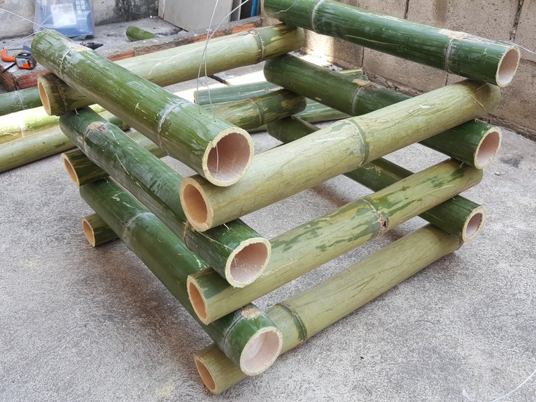 Bamboo1.jpg