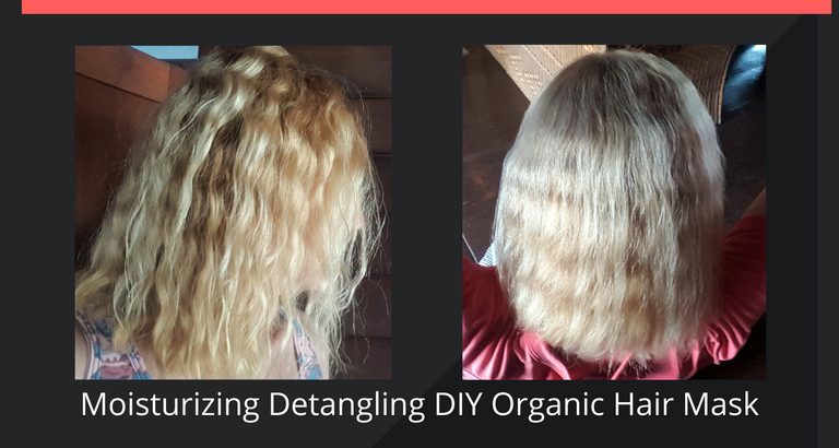 Moisturizing Detangling DIY Organic Hair Mask.png