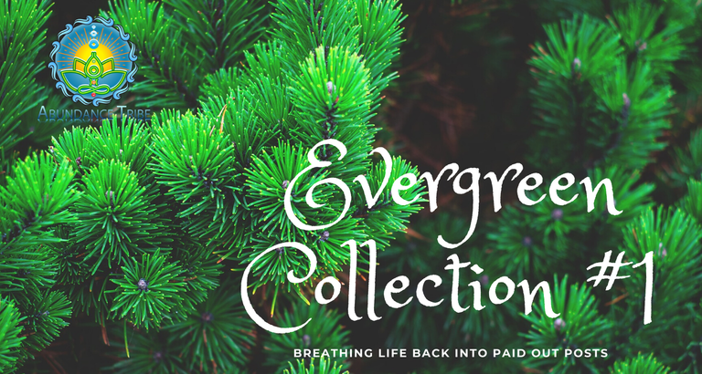 Evergreen Collection 1 1.png