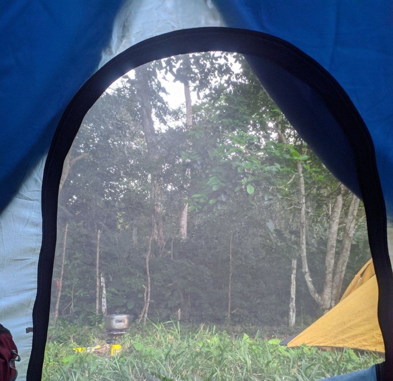 camping1.jpg