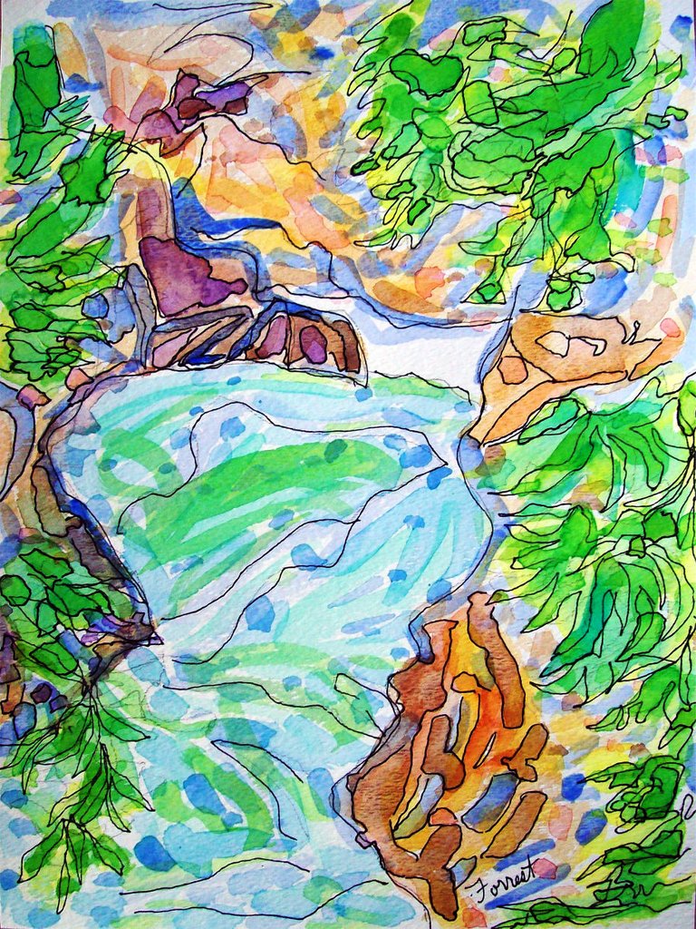 forrest_north_vancouver_bc_lynn_canyon_river_park_2_ink_watercolor_2015_w.jpg