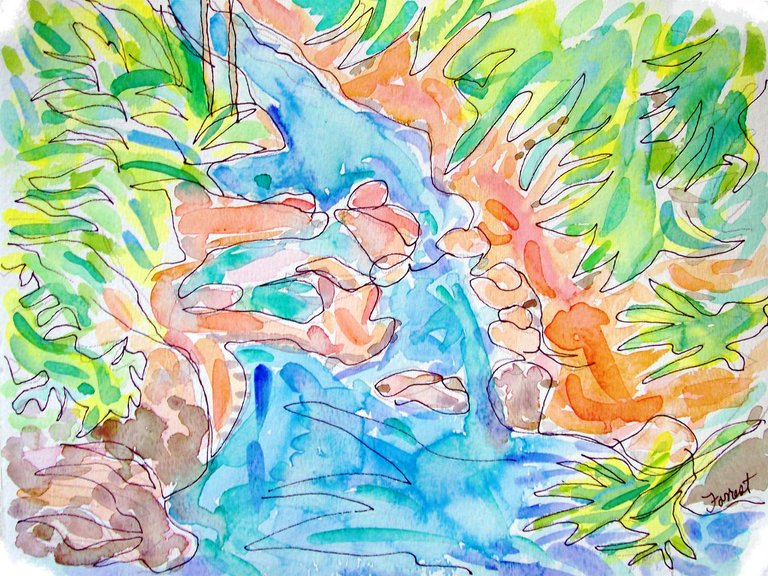 forrest_north_vancouver_bc_lynn_canyon_river_park_9_ink_watercolor_2015_w.jpg