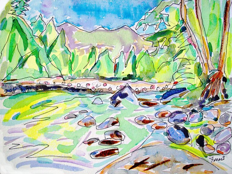 forrest_north_vancouver_bc_lynn_canyon_river_park_6_ink_watercolor_2015_w.jpg