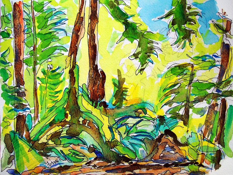 forrest_north_vancouver_bc_lynn_canyon_river_park_3_ink_watercolor_2015_w.jpg