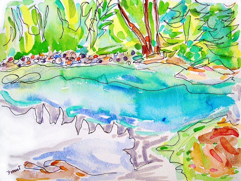 forrest_north_vancouver_bc_lynn_canyon_river_park_5_ink_watercolor_2015_w.jpg