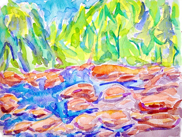 forrest_north_vancouver_bc_lynn_canyon_river_park_10_ink_watercolor_2015_w.jpg