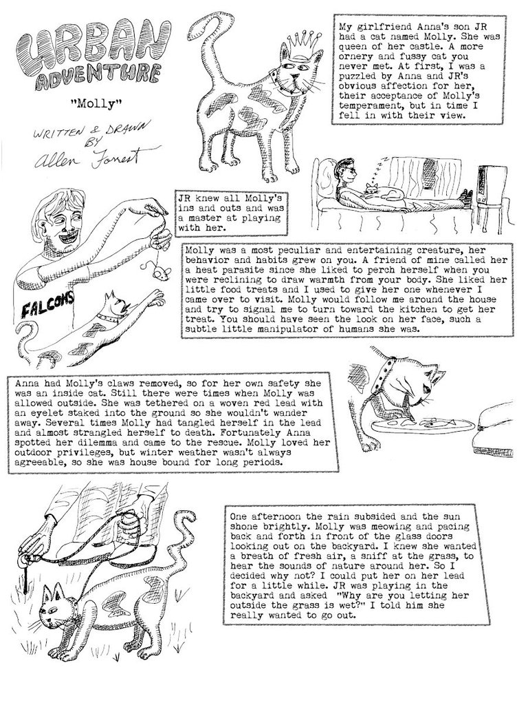 urban_adventure_molly_page_1_by_allen_forrest_w.jpg