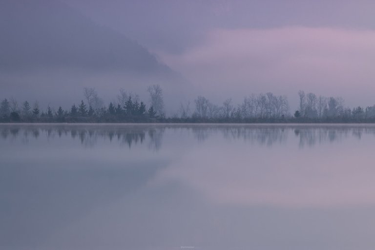 Trees on the other side of the Lake by ArtMentor