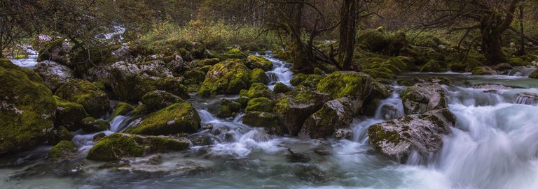 So much Water after the Rain by ArtMentor
