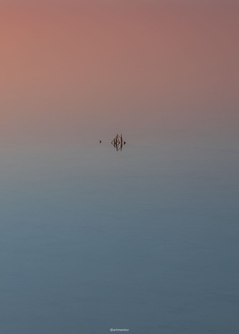 Minimalist Photography - Sunrise and Grass in the Water by ArtMentor