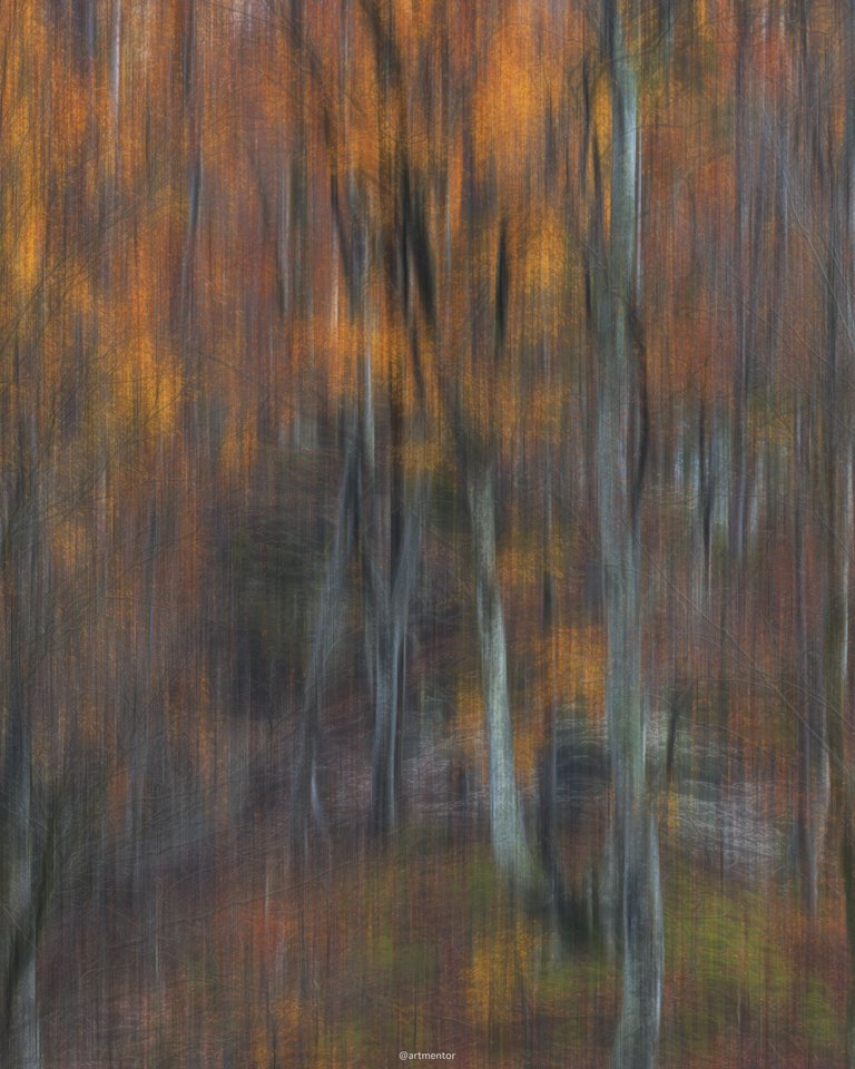 Shaky Autumn - ICM Photography by ArtMentor