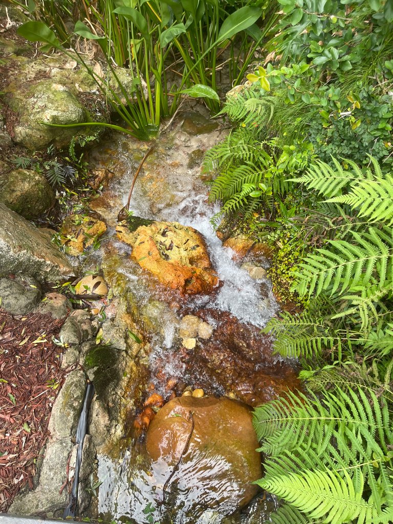 IMG_0361.jpeg