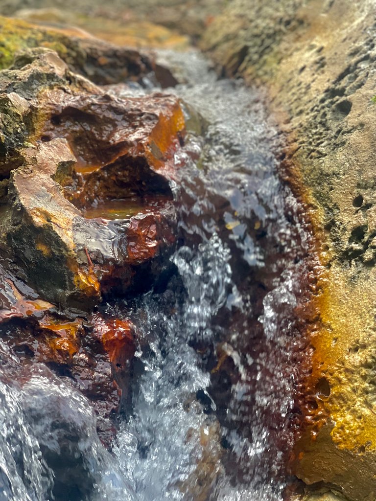 IMG_0357.jpeg