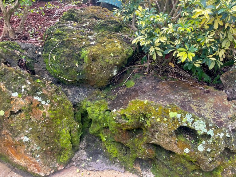 IMG_0340.jpeg