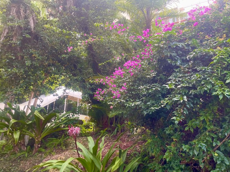 IMG_0344.jpeg
