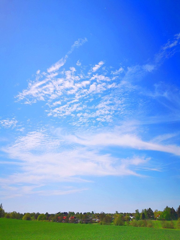 artqux_20220129_open-sky_01g.jpg