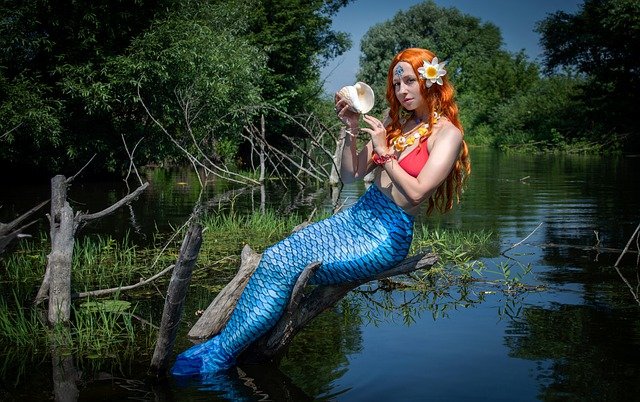 mermaid-6385781_640.jpg