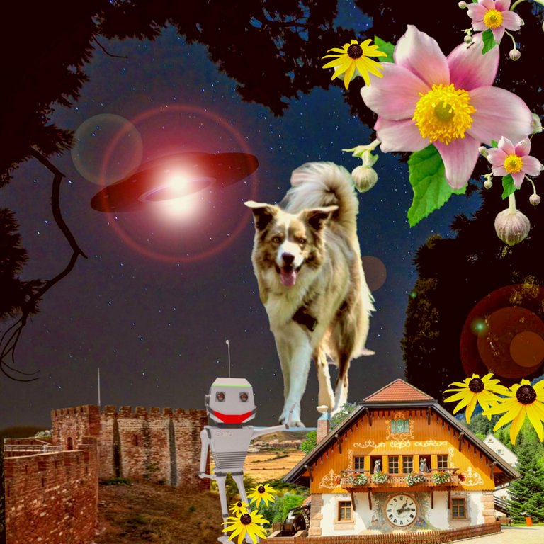 Picsart_22-09-25_16-11-14-441.jpg