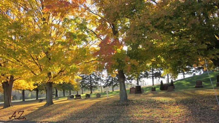 fall.jpg
