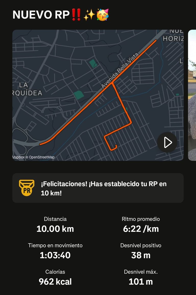 1000912961.jpg
