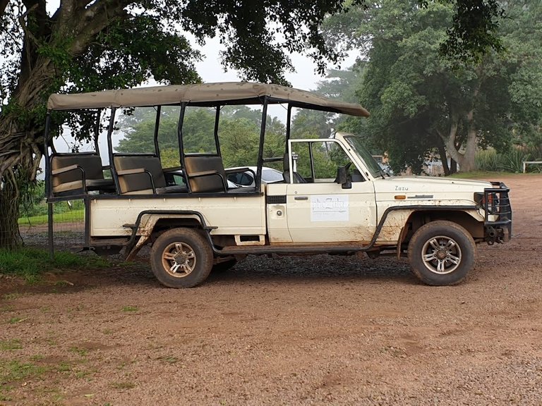 safari car.jpg