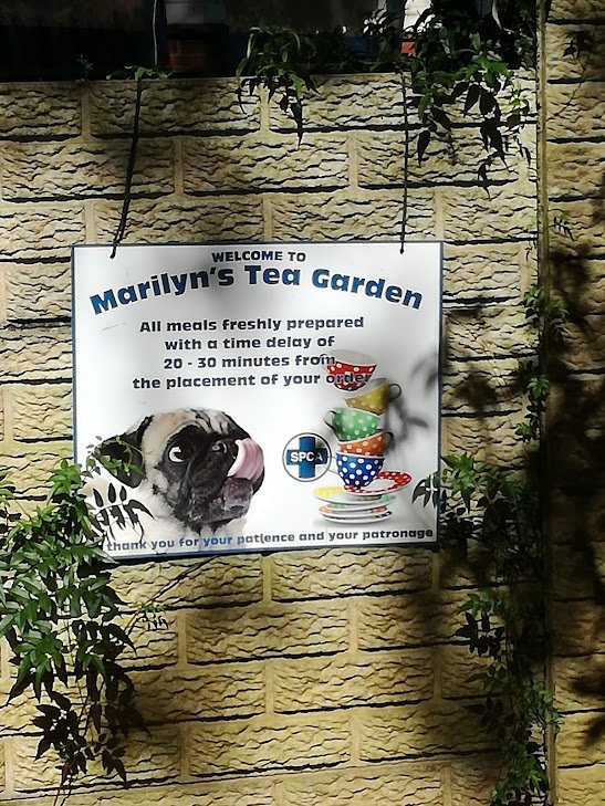 gn  tea garden.jpg