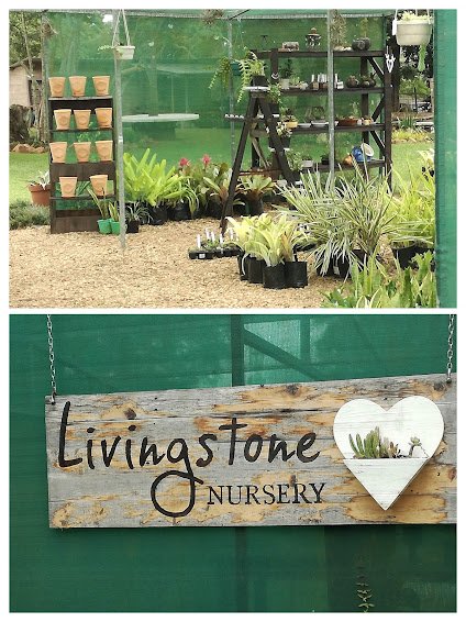 livingstone nursery.jpg