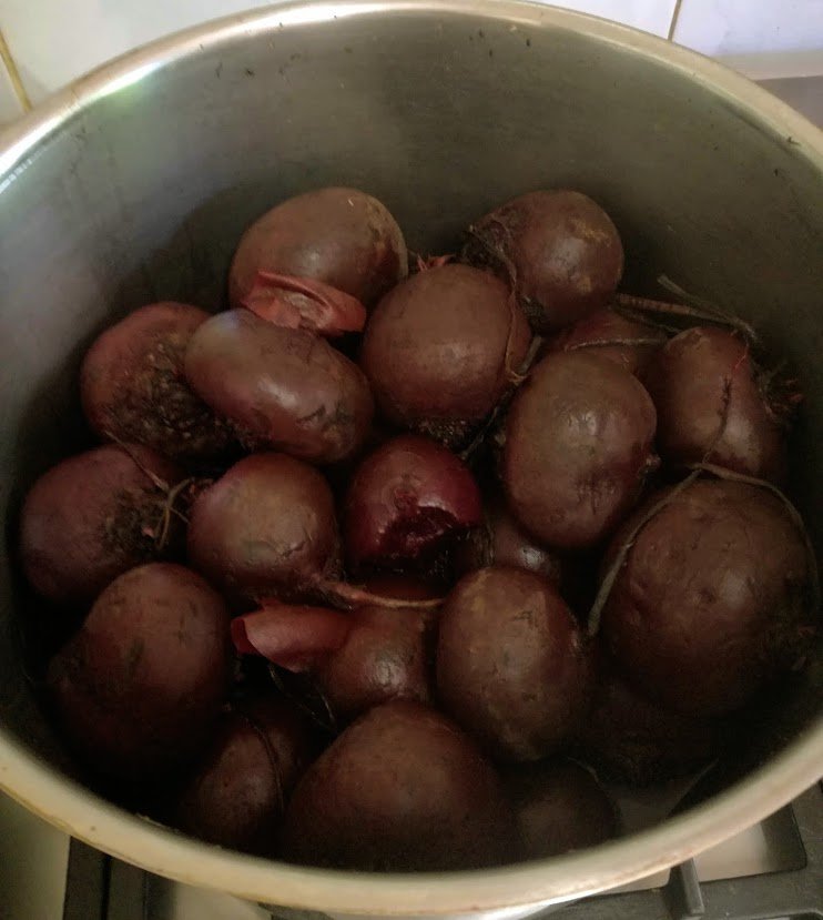 beetroot in pot.jpg