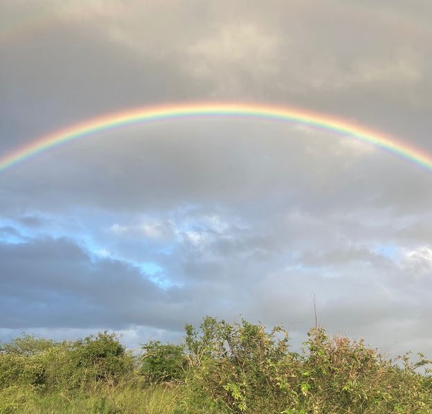 rainbow.jpg