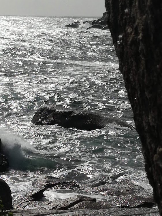 monster rock.jpg