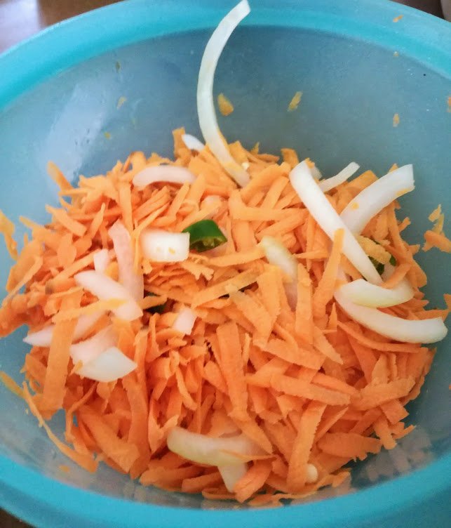 carot chili onion salad..jpg