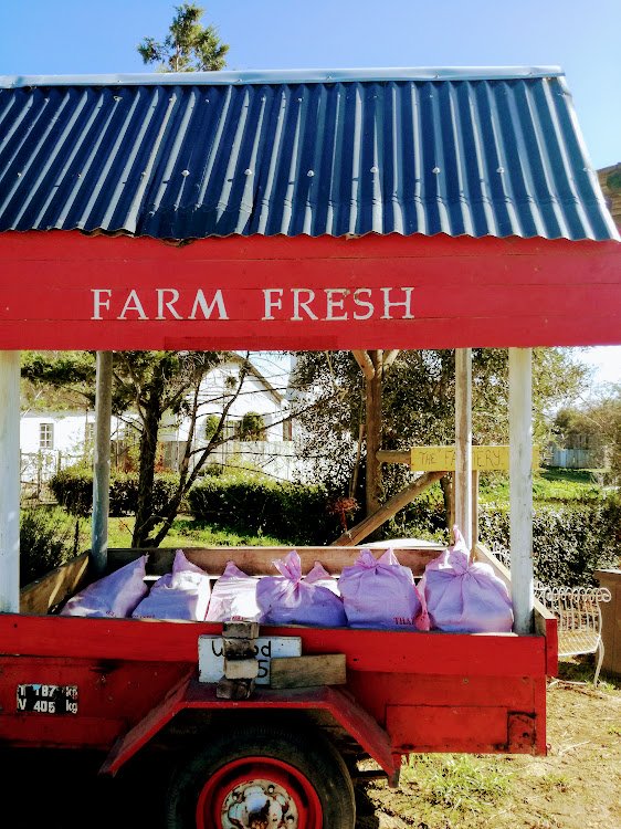 farm fresh.jpg