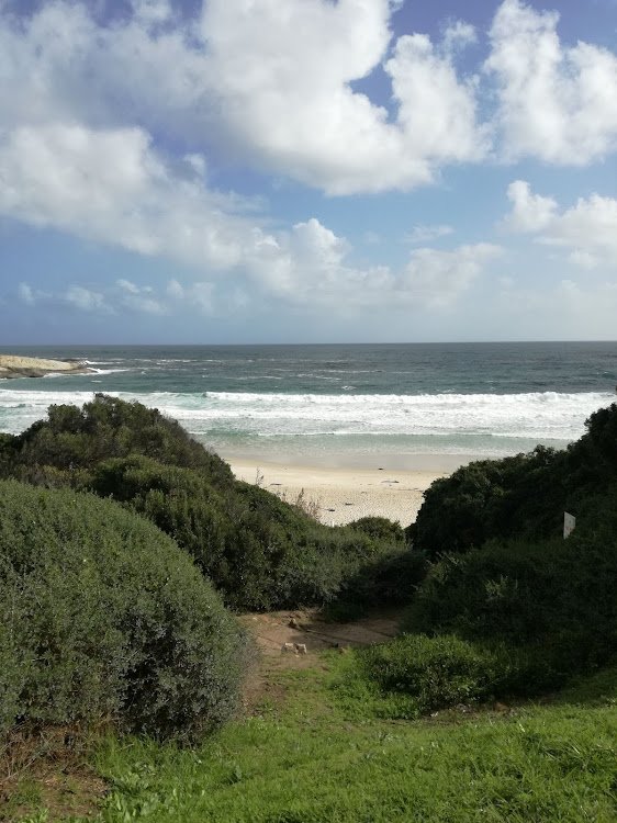 Lludunno beach.jpg